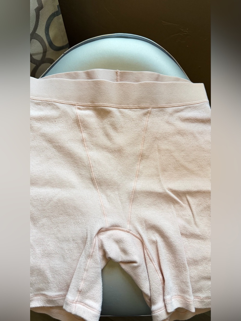 Skims pointelle logo briefs